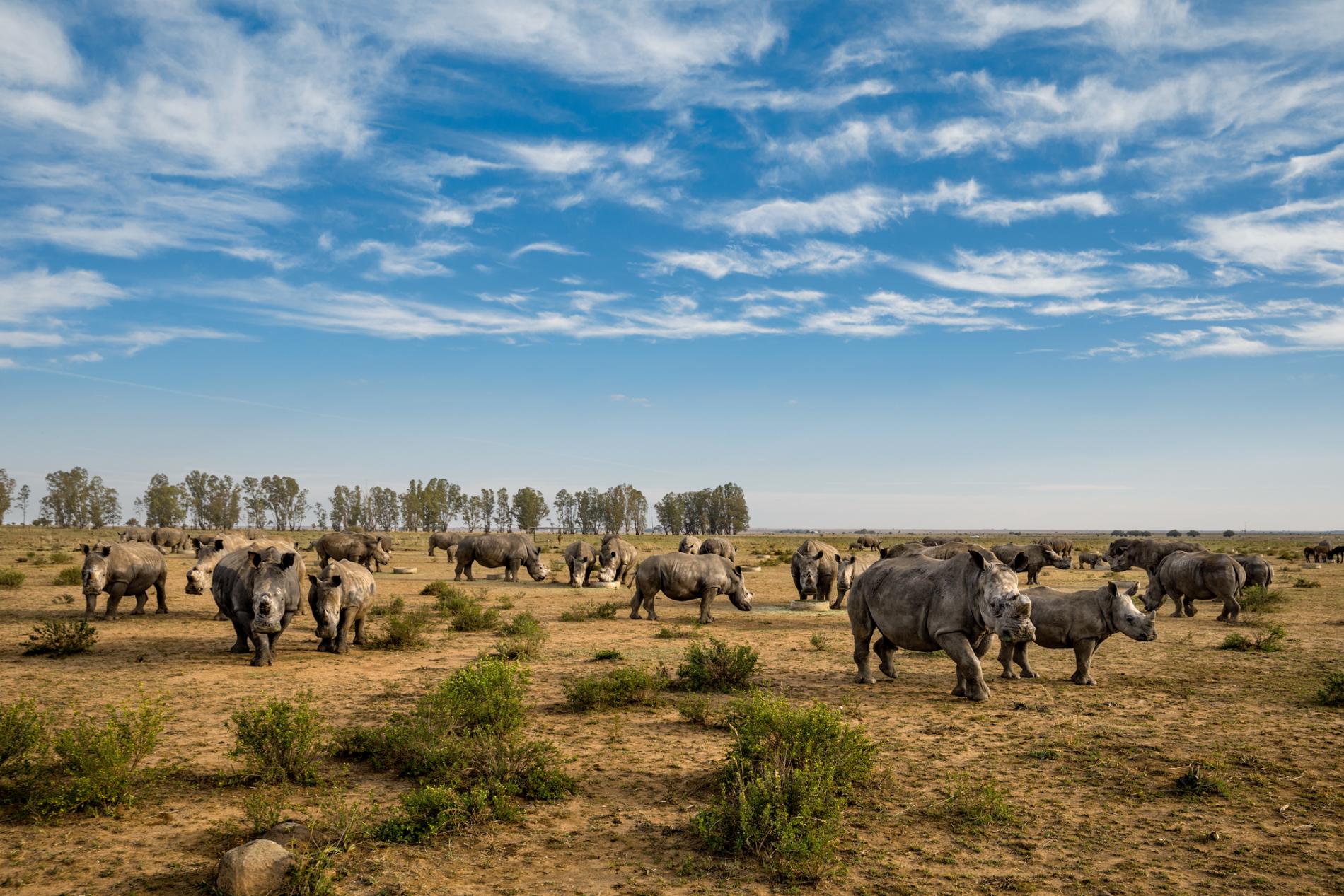 Ảnh[-]thiên[-]nhiên[-]nhói[-]lòng[-]năm[-]2016[-]của[-]NatGeo